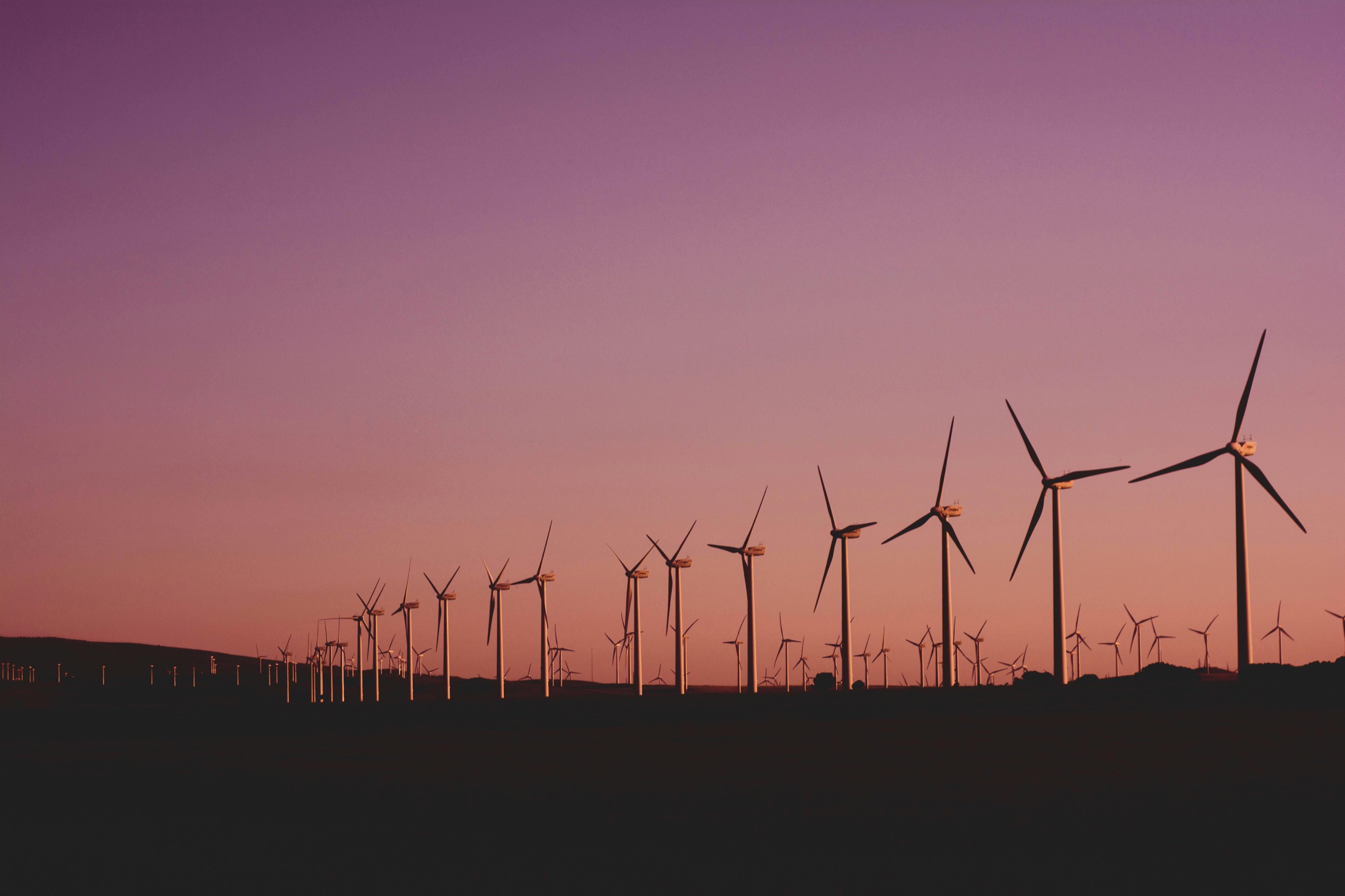 Large wind energy field